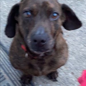 Meet your Posher, Parris